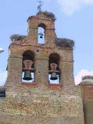Cigognes sur un clocher